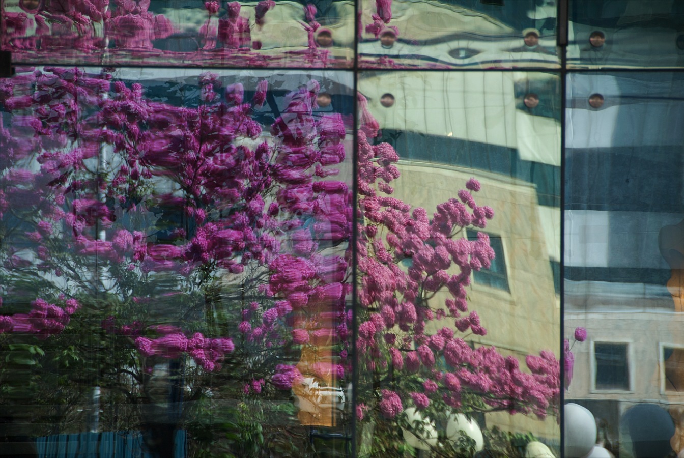 Vivanta ITPB, Whitefield